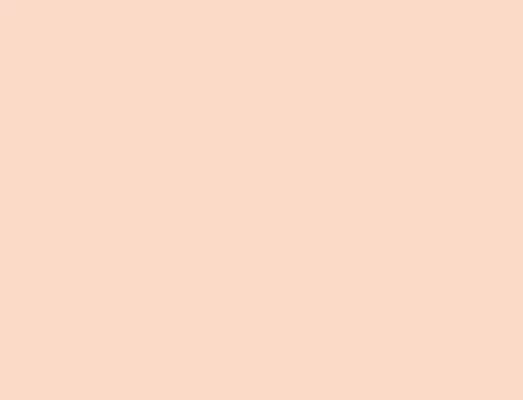 Soft Peach photo booth backdrop
